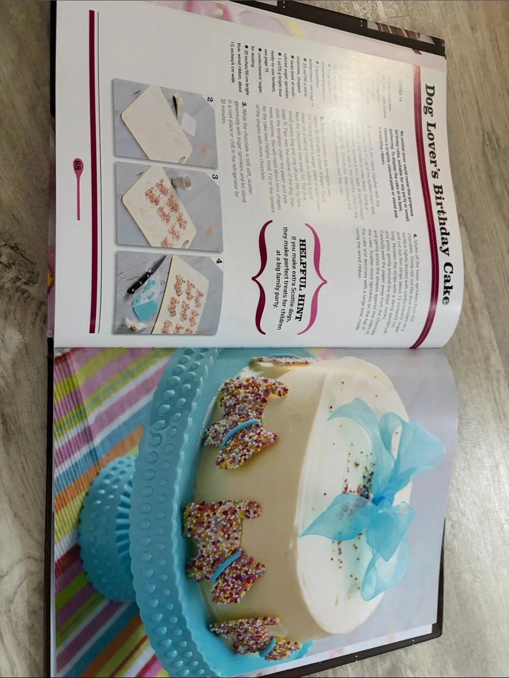 Beginner's Guide to Cake Decorating Book